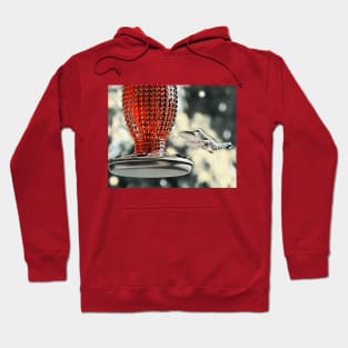 Hummingbird Red Feeder Hoodie